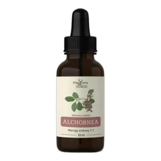 Alchornea cordifolia wyciąg ziołowy NANGA 50ml — zdjęcie 1
