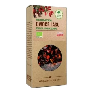 Owoce Lasu EKO Herbatka DARY NATURY 100g — zdjęcie 1