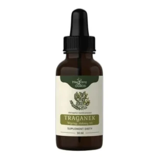Traganek Astragalus membranaceus wyciąg ziołowy Nanga 50ml — zdjęcie 1